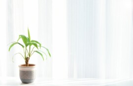 窓辺で朝の光を浴びながら呼吸を整える時間