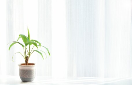 窓辺で朝の光を浴びながら呼吸を整える時間