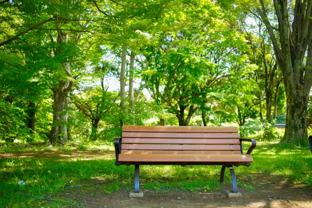 初夏の木漏れ日の中でひと息つく木陰の風景