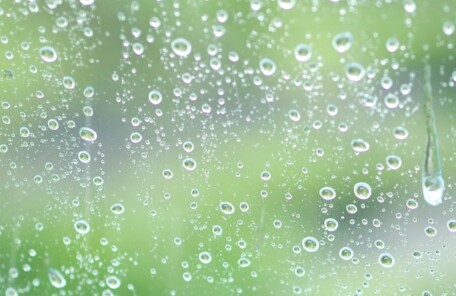 雨粒越しの緑を眺めながら雨音に耳をすます梅雨のイメージ