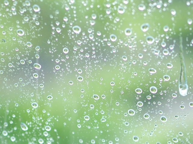 雨粒越しの緑を眺めながら雨音に耳をすます梅雨のイメージ